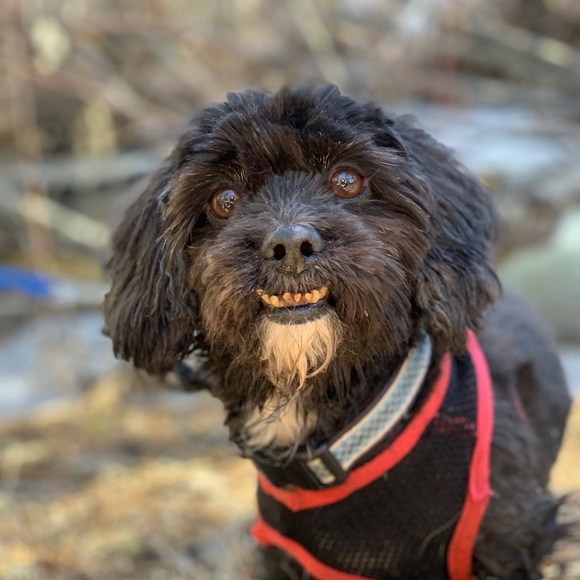 RARE!  Lulu🍋 Rebel Runner Purple Leggings - Picture 4 of 4